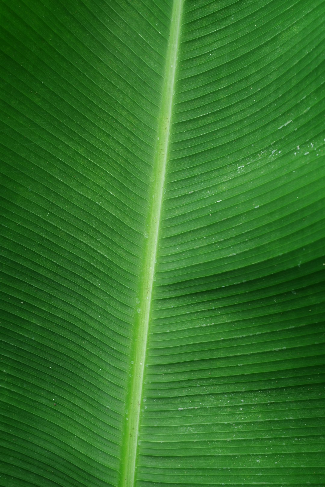 Top 10 eco-friendly kitchen products